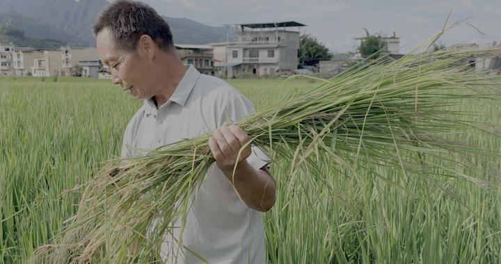 再走长征路|广西灌阳:红色故土上长出新产业